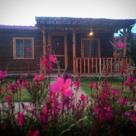 Ipekce Tatil Evleri Mesudiye  Buitenkant foto