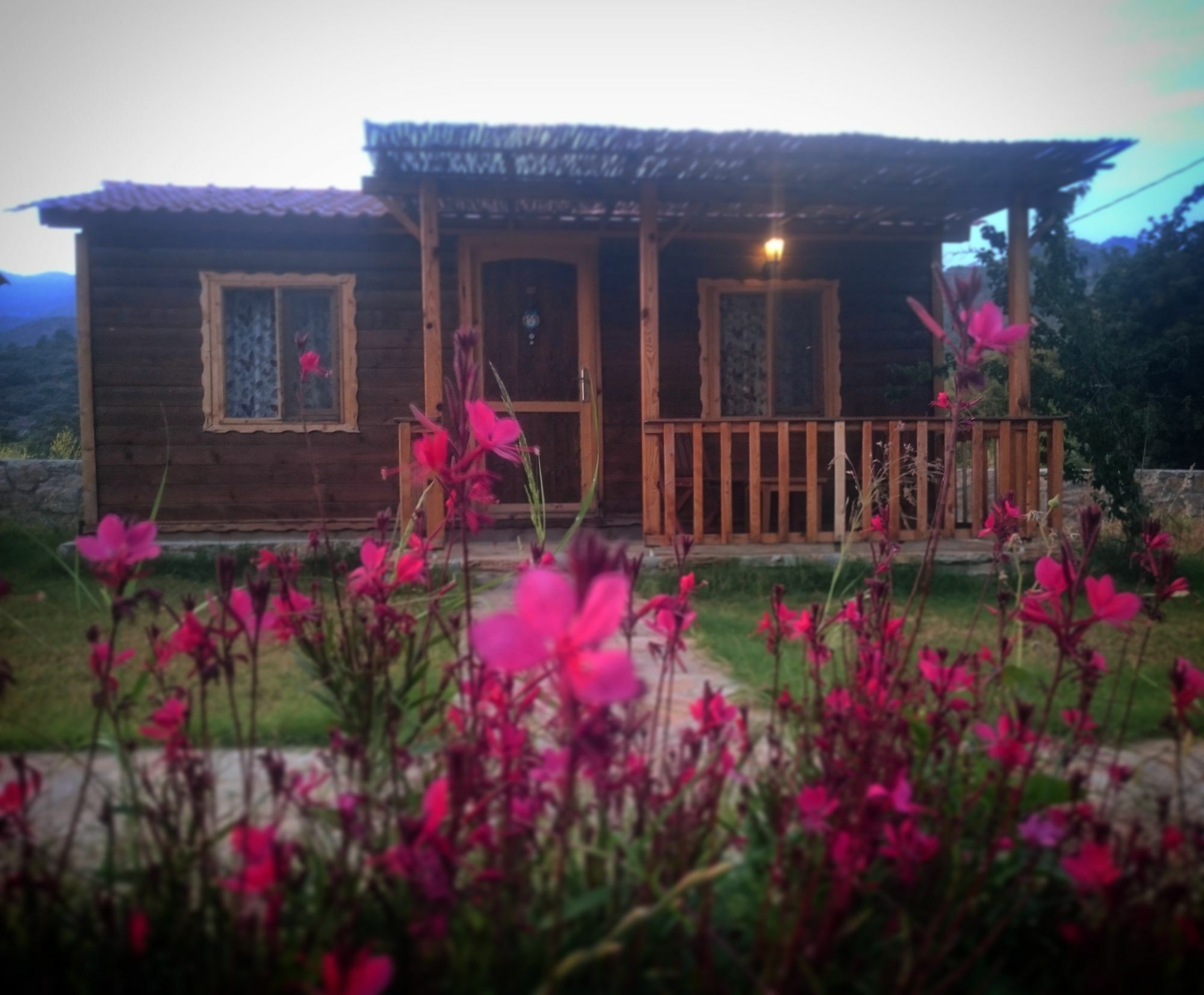 Ipekce Tatil Evleri Mesudiye  Buitenkant foto